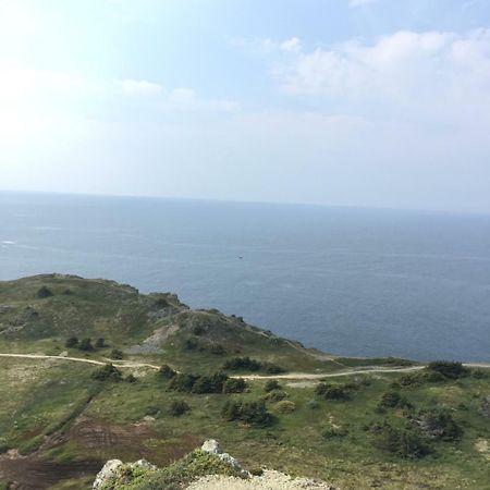 Mermaid Inn Bnb Twillingate Zewnętrze zdjęcie