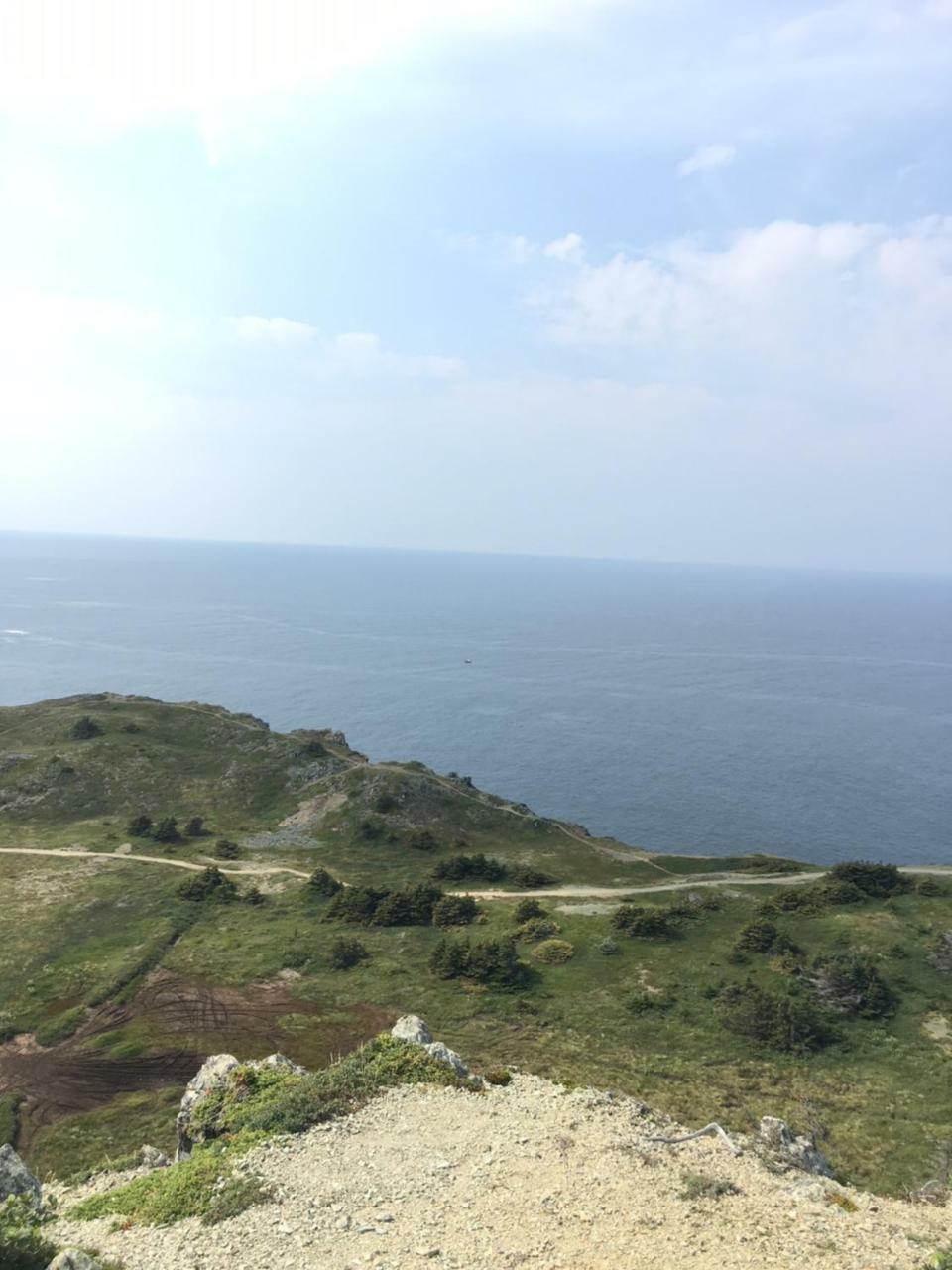 Mermaid Inn Bnb Twillingate Zewnętrze zdjęcie